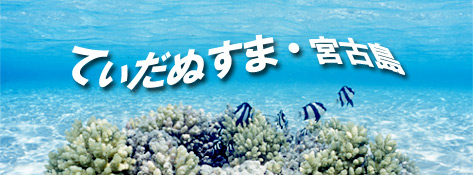 宮古島のシュノーケリング風景