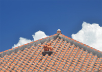 屋根の上のシーサーと入道雲