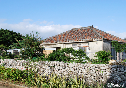 琉球石灰岩の塀と民家