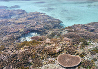 海上の珊瑚礁と青い海