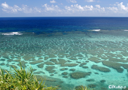 展望台から見える珊瑚礁