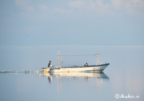 鏡のような海を走る漁船