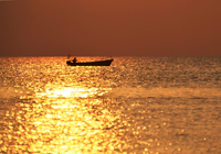 黄金色の海に浮かぶ漁船