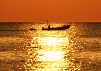 黄金色の海と漁船