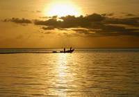 夕陽の中の漁船