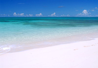真っ白な砂浜と青い海