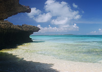 琉球石灰岩とビーチ