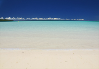 青い海と真っ白な砂浜
