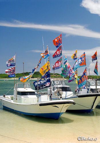 祭りを彩る大漁旗