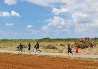 サトウキビ畑と子供たち