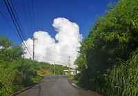 道の先の入道雲