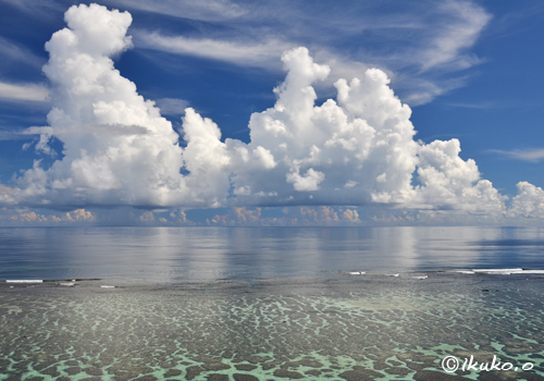 サンゴ礁の海と入道雲