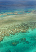 珊瑚礁の青い海