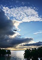 マングローブ林の上空を飛ぶ飛行機
