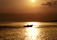 輝く海を走る漁船