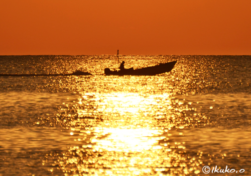 黄金色の海と漁船